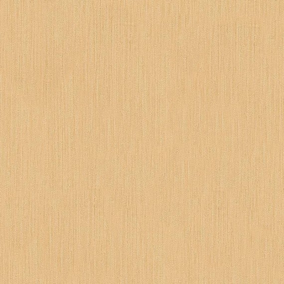 Papel Pintado VERSACE HOME 2 284 - 1