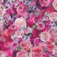 Papel Pintado URBAN FLOWERS 221 - 1